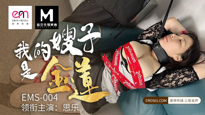 我的嫂子是金莲